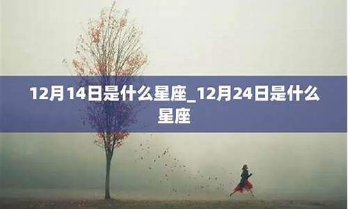 12月14日是什么星座的流星雨呢_12月14日是什么星座的流星雨