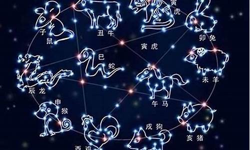 十二星座各代表什么公主_十二星座分别是什么公主十二星座公主